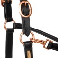 20810006 Leather halter EQ.QUEEN SmallDiamonds black-rosegold side2.jpg